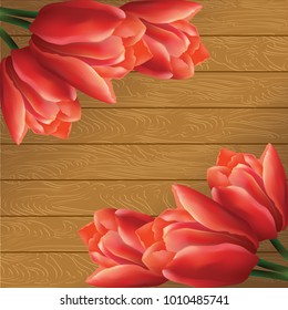 Vector greeting card template with tulip flowers on wooden planks. Realistic meshes petals. For mother's day, women's day, st.valentine's day or other holidays design.