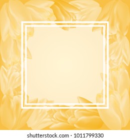 Vector greeting card template with tulip flowers and translucent square frame. Realistic meshes petals. For mother's day, women's day or st.valentine's day design