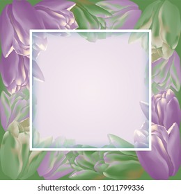 Vector greeting card template with tulip flowers and translucent square frame. Realistic meshes petals. For mother's day, women's day or st.valentine's day design