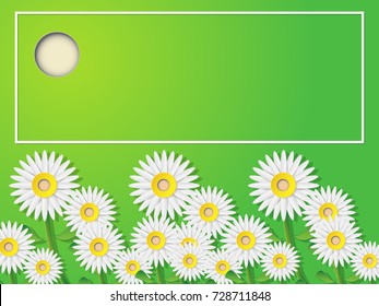 Vector Greeting cards, natural white paper flowers. And green background