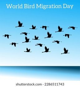 Vector greeting for World Bird Migration Day 