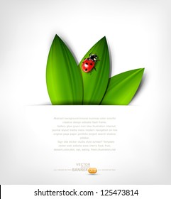 vector grey background with leafs and ladybird