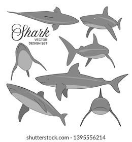 Vector Grey Big Shark Illustration Set