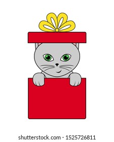 vector grey cat in box isolated on white background