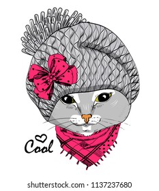 Vector grey cat with grey knitted hat and red scarf. Hand drawn illustration of dressed cat