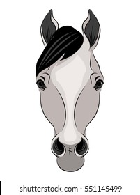 Vector grey outline beautiful arabian horse portrait