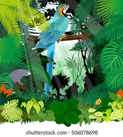 vector Grey parrot and Ara Macaw in Jungle Rainforest