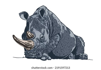 Vector  grey rhinoceros lays isolated on white, graphical color illustration