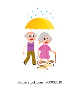 vector grey-haired man and woman walks in the rain happily keeping umbrella in hand with puppy dog pet. Flat cartoon isolated couple illustration on a white background