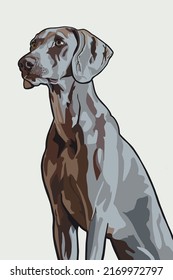 ilustración de perro grisáceo vectorial (Weimaraner).