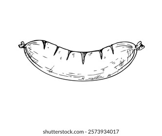 Vector grilled sausage. Graphic German bratwurst illustration isolated on background. Hand drawn line sketch. For designers, prints, postcards, wrapping paper, icon, octoberfest, holiday, covers