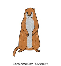 vector of groundhog 