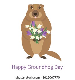 Vector of groundhog with snowdrops.Isolated on white background.