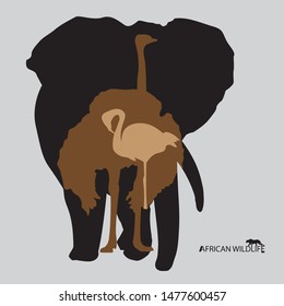 Vector group of african animal label, Africa wildlife. 