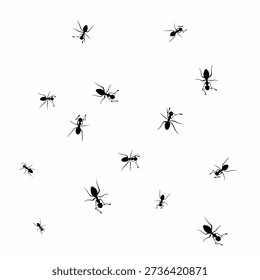 Vector of a group of ants walking together in search of food on a white background.
