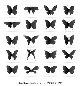 Vector group of black butterfly on white background. Butterfly icon. Insect.