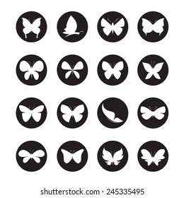 Vector group of butterflies in the circle on white background