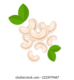 Vector group of cashew nuts with green leaves isolated on white background.