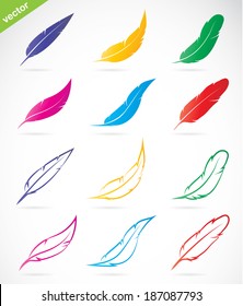 Vector group of colorful feather on white background