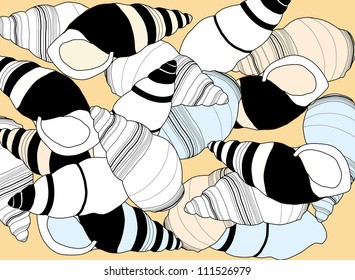 Vector group of colorful Mollusks