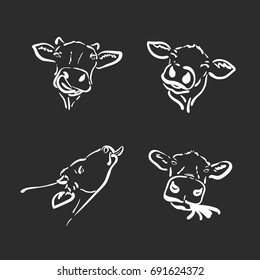 Vector group of a cow head on black background. Farm Animal.