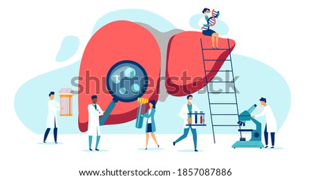 Vector of a group of doctors examining patient liver, performing lab tests, biopsy, molecular analysis 