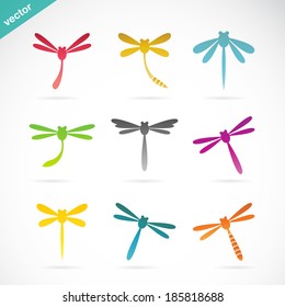 Vector group of dragonfly on white background, Vector dragonfly for your design.