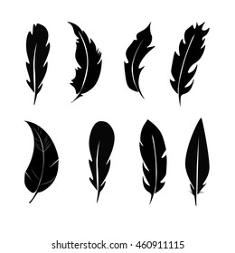 Vector group of feather