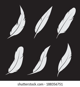 Vector group of feather on black background