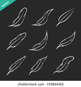 Vector group of feather on black background