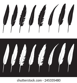 Vector group of feather on white background and black background
