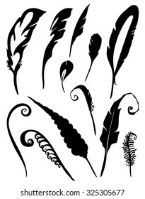 Vector group of feather on white background