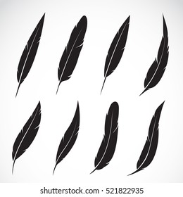 Vector group of feather on white background. Icon. Feathers symbol in vector format.