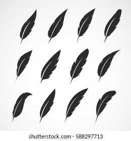 Vector group of feather on white background.