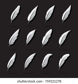 Vector group of feather on white background. Icon. Feathers symbol in vector format.