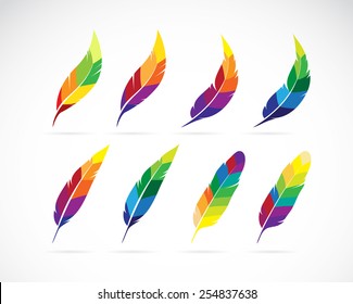 Vector group of an feathers design on white background