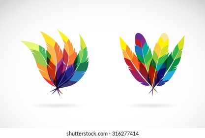 Vector group of an feathers design on white background