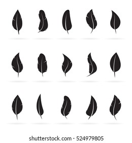 Vector group of feathers on white background. Icon. Feathers symbol in vector format.