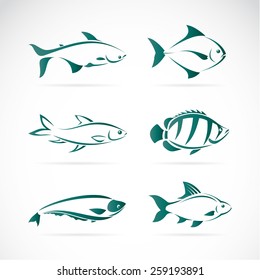 Vector group of fish on white background