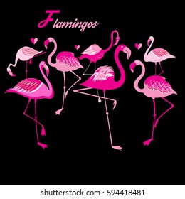 Grupo vetorial de flamingos sobre fundo escuro