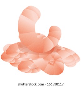 A Vector Group Of Fresh Shrimps Isolated