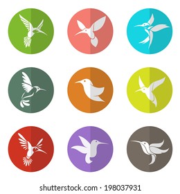 Vector group of hummingbird in the circle on white background