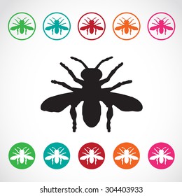 Vector group of insects on white background. Bee