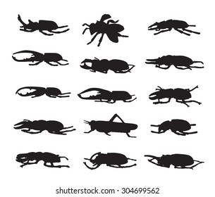 Vector group of insects on white background. 