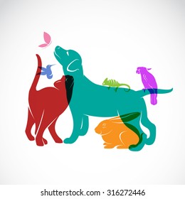 Vector group of pets - Dog, cat, parrot, chameleon, rabbit, butterfly, hummingbird isolated on white background, Vector pets for your design.