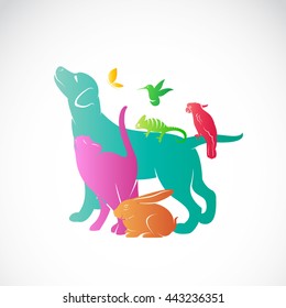 Vector group of pets - Dog, cat, parrot, chameleon, rabbit, butterfly, hummingbird isolated on white background, / Vector pets for your design.