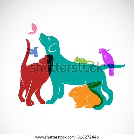 Vector group of pets - Dog, cat, parrot, chameleon, rabbit, butterfly, hummingbird isolated on white background, Vector pets for your design.