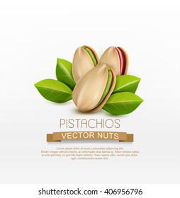 Vector Group Of Pistachio Nuts, Isolated On A White Background