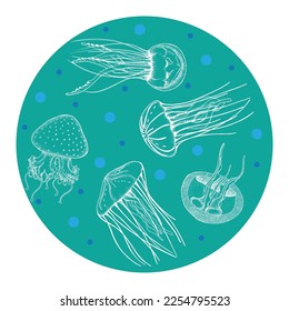 Vector group of sea jellyfish in the shape of a circle for greeting cards, backgrounds and children's designs
