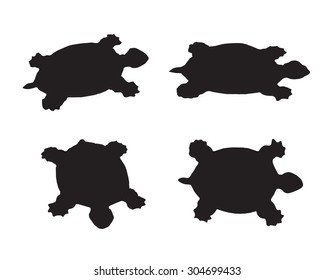 Vector group of turtle on white background